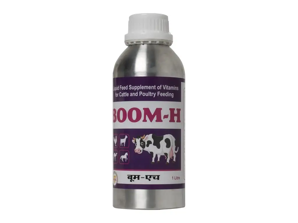 Boom - H | Multivitamin Liquid Supplement for Cow
