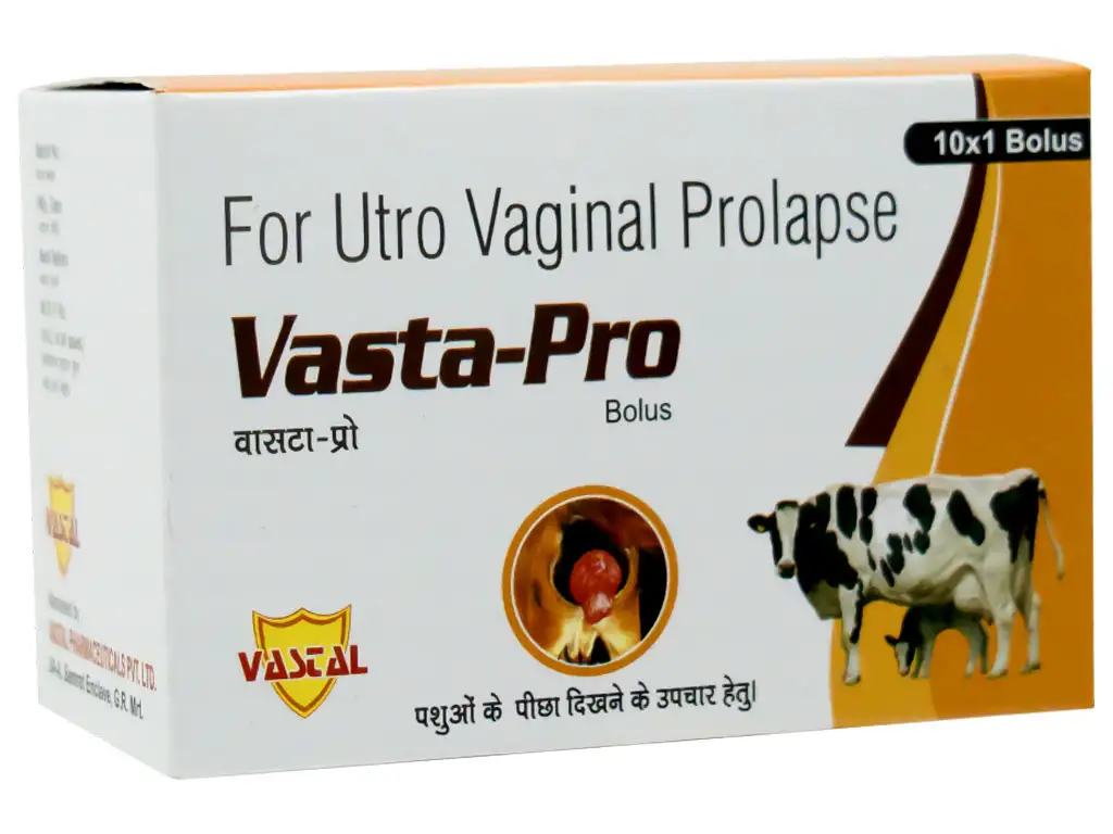 Vasta-Pro Bolus For Utro Vaginal Prolapse