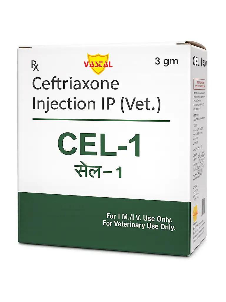 CEL-1 For Treatment of Bacterial Infection Pneumonia UTI Infection