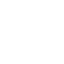 Secure Icon