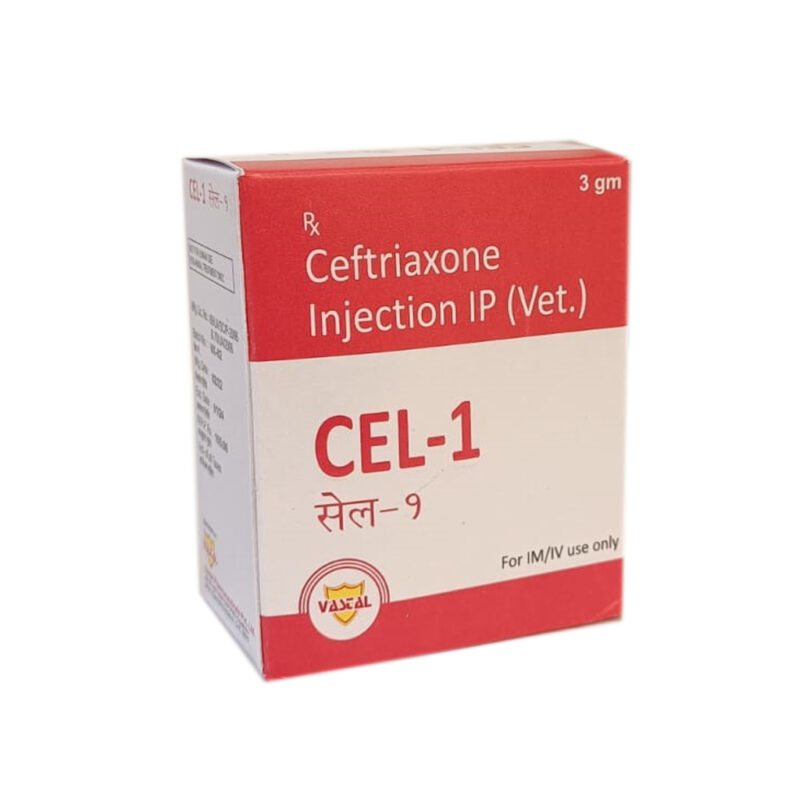 CEL-1 For Treatment of Bacterial Infection Pneumonia UTI Infection