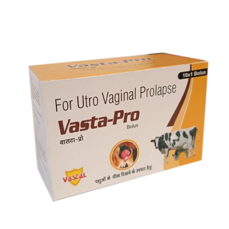 Vasta-Pro Bolus For Utro Vaginal Prolapse